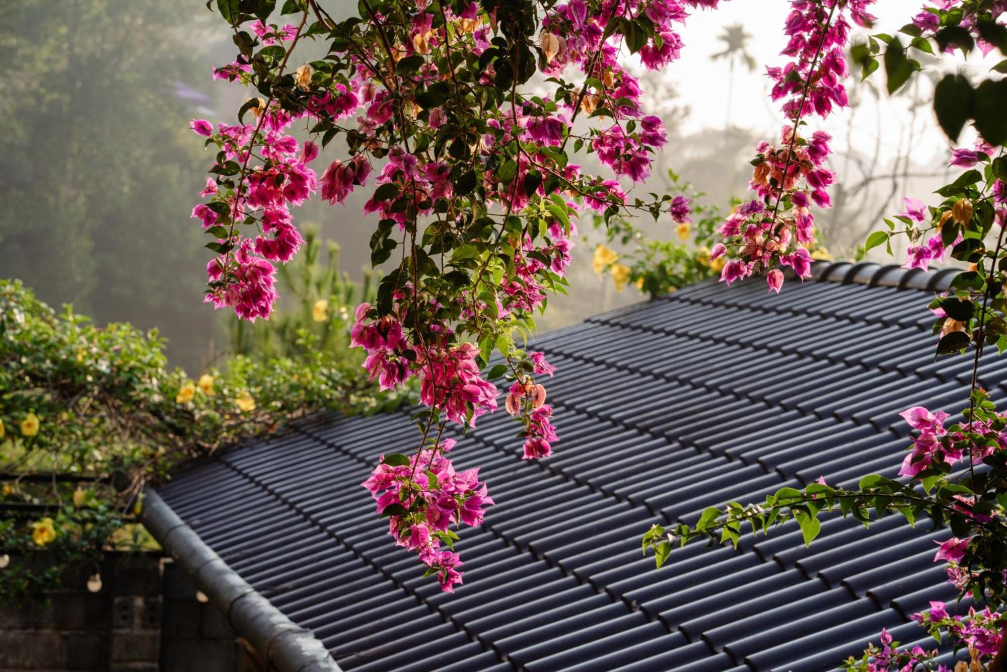 Maysa Villa Bảo Lộc Ngoại thất bức ảnh